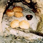Het gebakken brood, vlak vorodat het de oven uit gaat. Let op het bakje met water wat in de oven stond tijdens het bakken, zodat de korst niet te hard werd. (klik voor een uitvergroting)